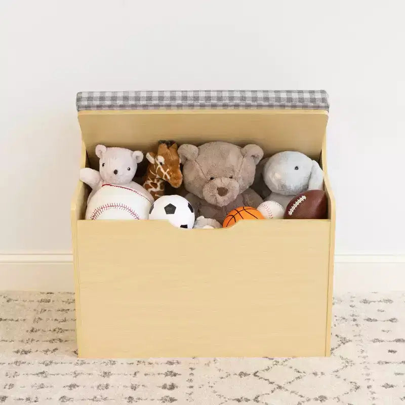 Kids Hinged Toy Chest with Removable Cushion