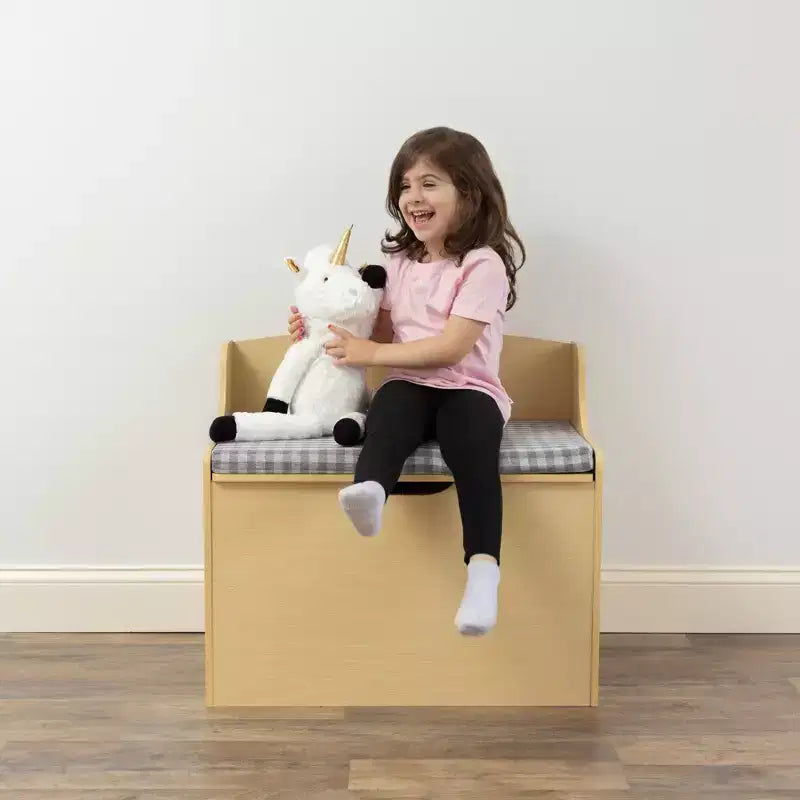Kids Hinged Toy Chest with Removable Cushion