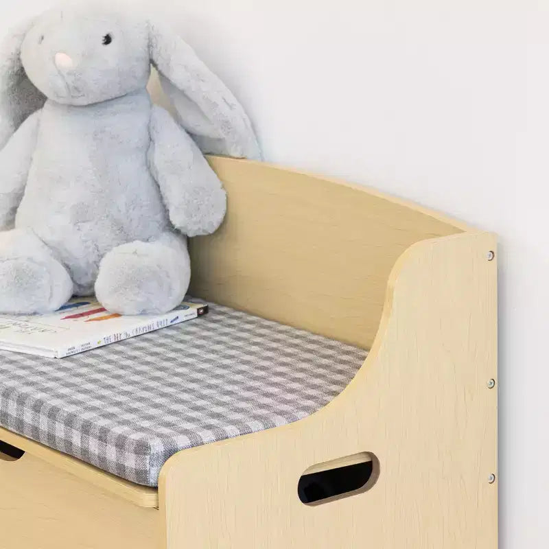 Kids Hinged Toy Chest with Removable Cushion