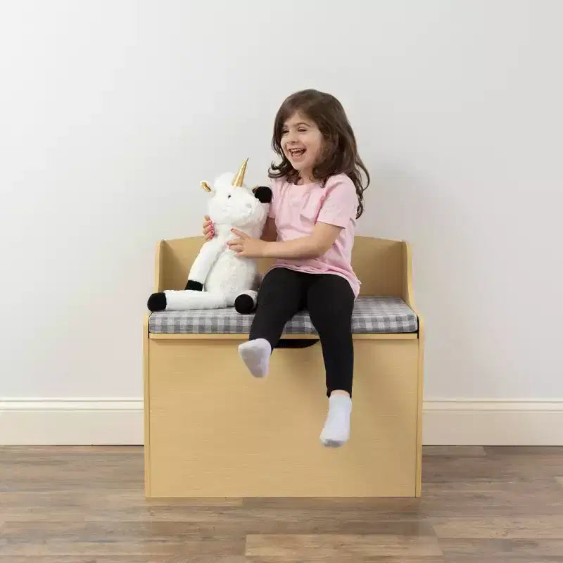 Kids Hinged Toy Chest with Removable Cushion