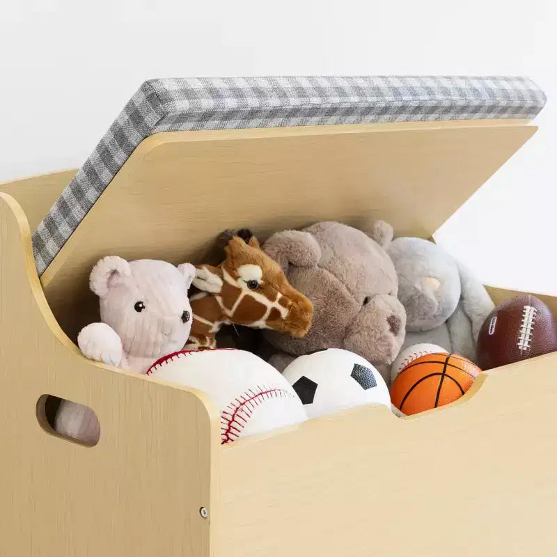 Kids Hinged Toy Chest with Removable Cushion