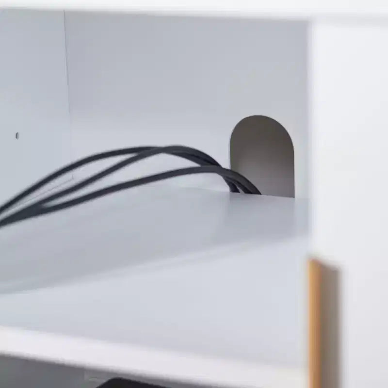 2 Door Media Stand with Shelves