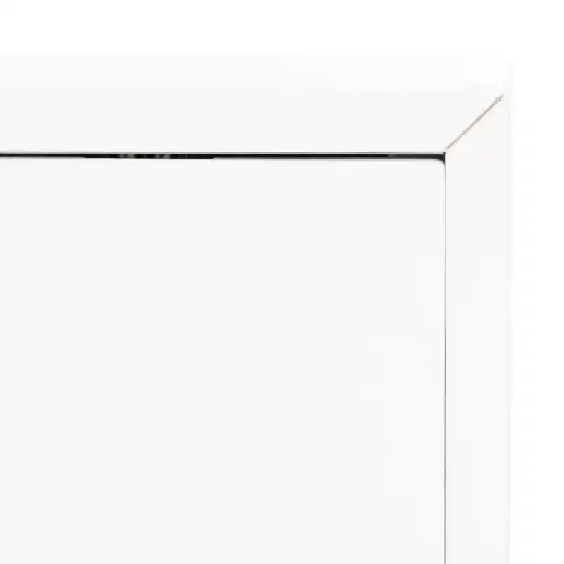 2 Door Media Stand with Shelves