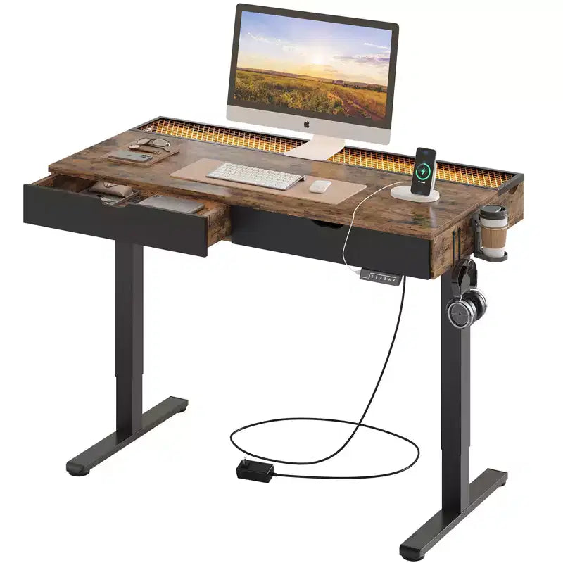 47x24" Electric Standing Desk with Dual Drawers and LED Light